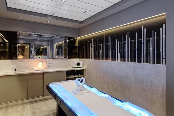 MSC Cruises MSC Meraviglia MSC Aurea Spa -Credits - MSC Rights - Ivan Sarfatti 4.jpg